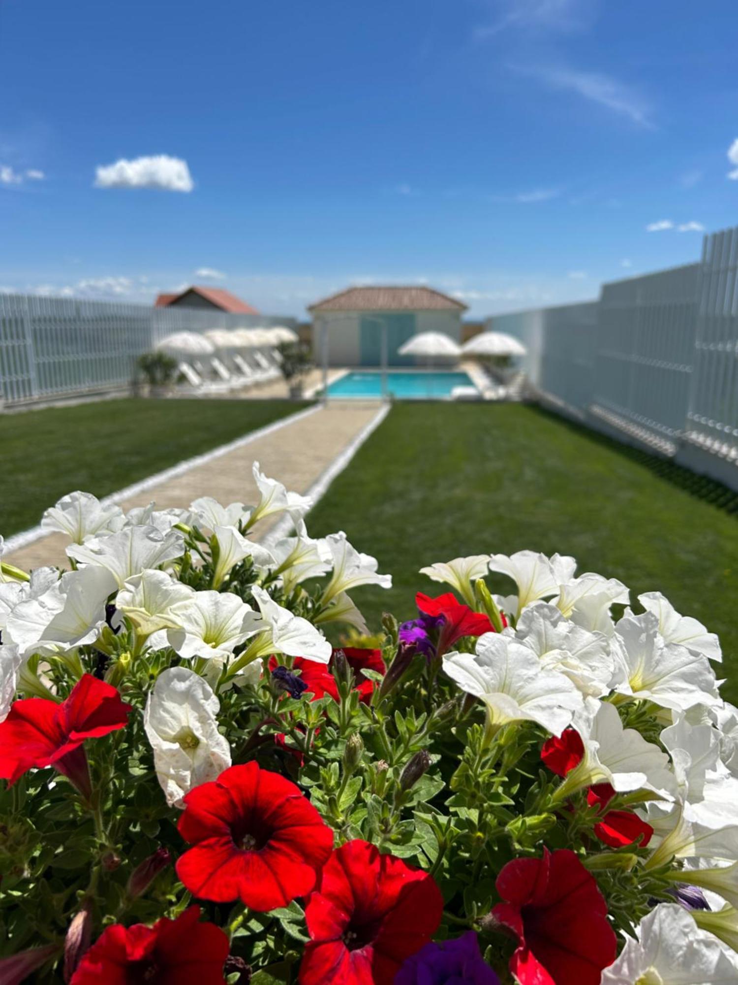 Alma Rezidence Bed & Breakfast Турда Екстериор снимка